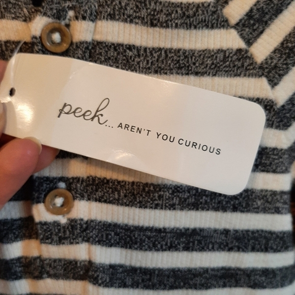 NWT Peek XS (0-3mo) Baby Stripe Hoodie One Piece Gender Neutral Heather Grey - Picture 3 of 11